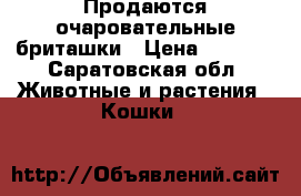 Продаются очаровательные бриташки › Цена ­ 1 000 - Саратовская обл. Животные и растения » Кошки   